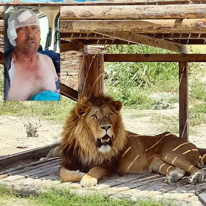 Tutuklamalar, Yangınlar, Kayıplar: 2025 Antalya Güncesi 11